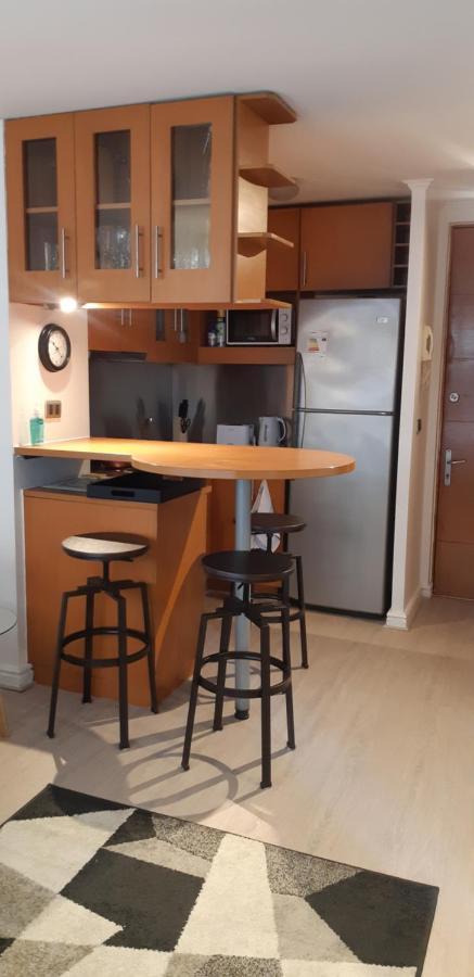 Departamento Comuna Providencia, Cercano Metro Leones Y Pedro De Valdivia *