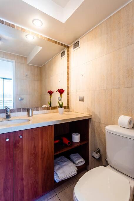 Amazing View Providencia Costanera Center Parking Incl Apartamento *