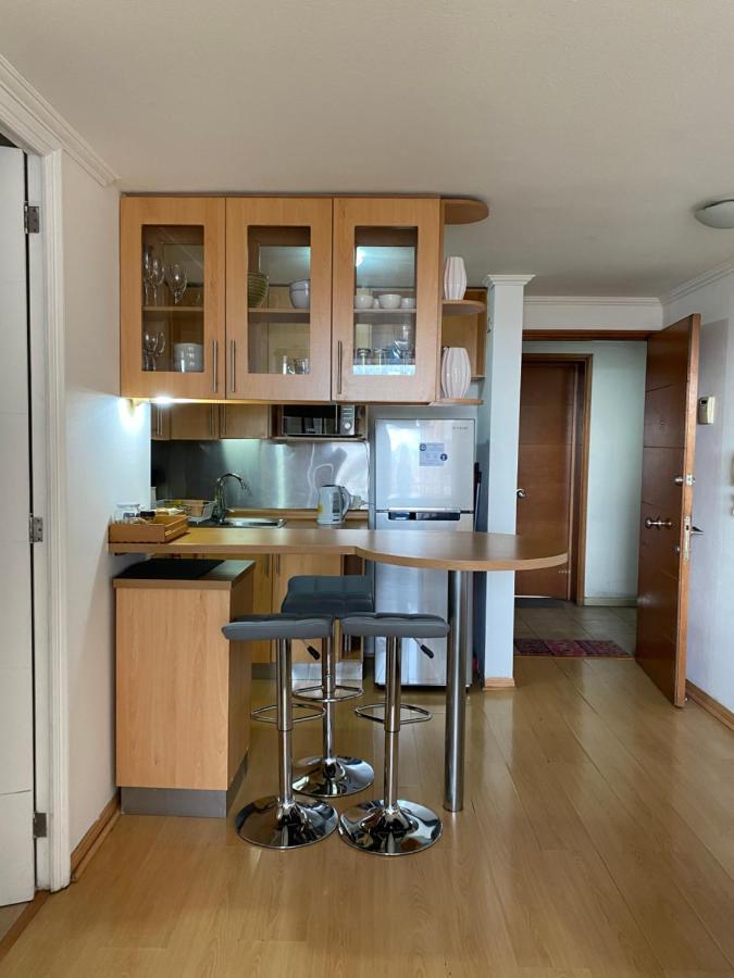 Departamento Dos Ambientes Providencia Apartamento *