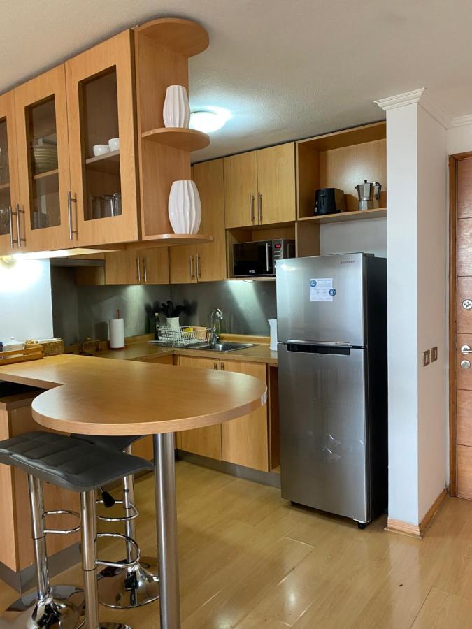 Departamento Dos Ambientes Providencia Apartamento Santiago