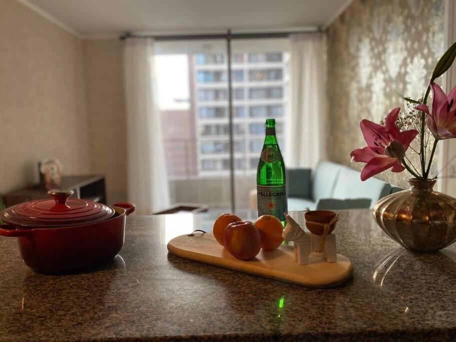 Apartamento Grato Y Céntrico Depto Entre Providencia Y ñuñoa