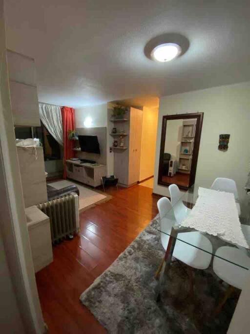 Cómodo Departamento En El Centro De Stgo *