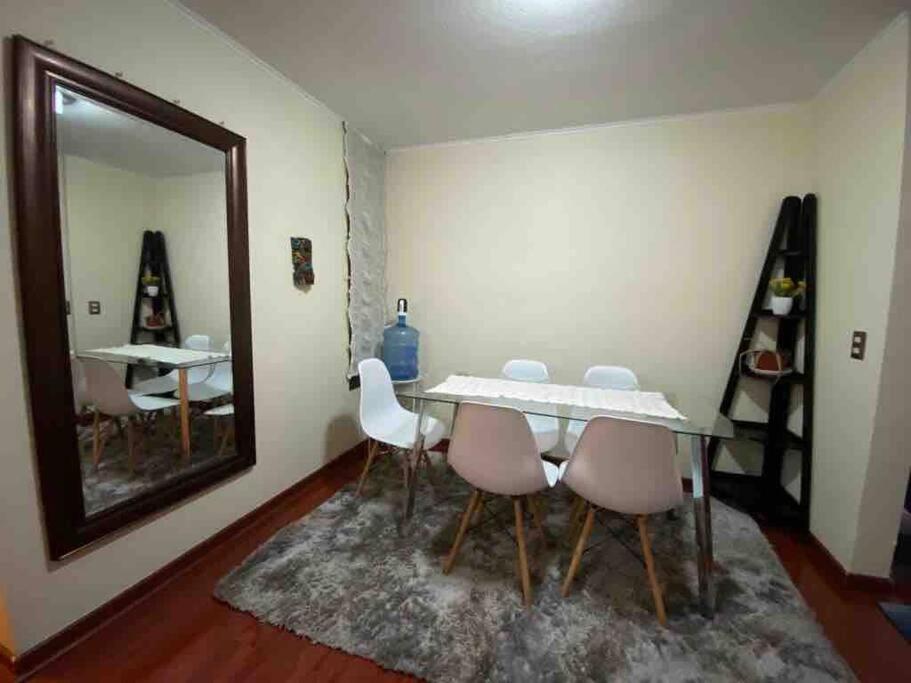 Apartamento Cómodo Departamento En El Centro De Stgo *