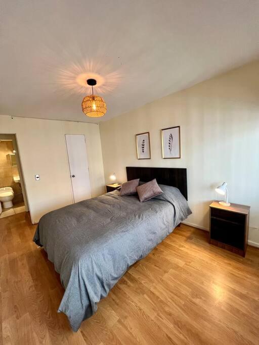 Apartamento Y Cómodo Depto En Providencia Santiago de Chile