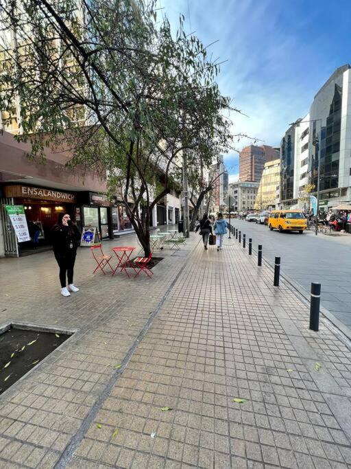 Y Cómodo Depto En Providencia Apartamento *