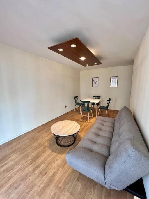 Y Cómodo Depto En Providencia Apartamento *