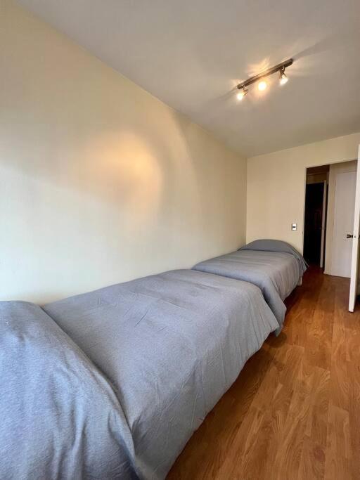 Apartamento Y Cómodo Depto En Providencia *