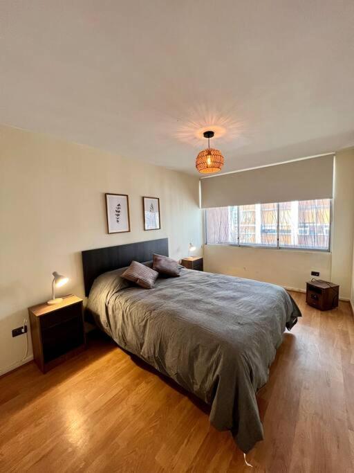 Y Cómodo Depto En Providencia Apartamento