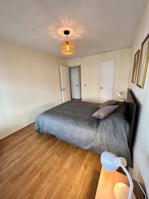 Y Cómodo Depto En Providencia Apartamento *