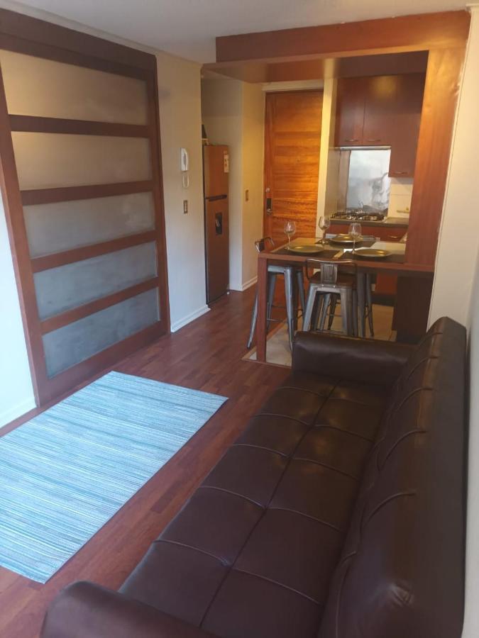Acogedor Y Renovado Departamento Santiago