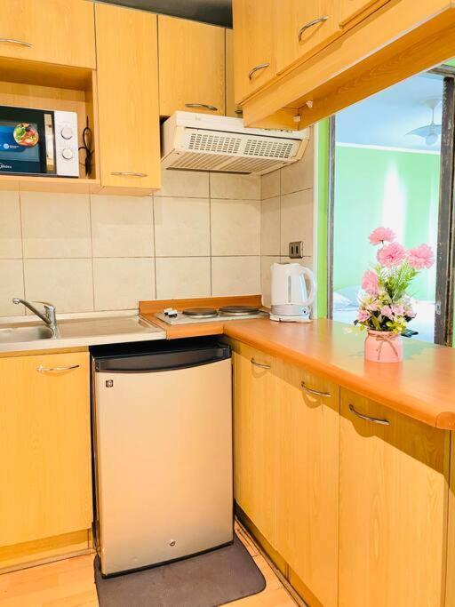 Apartamento Departamentos Diarios En Chile *
