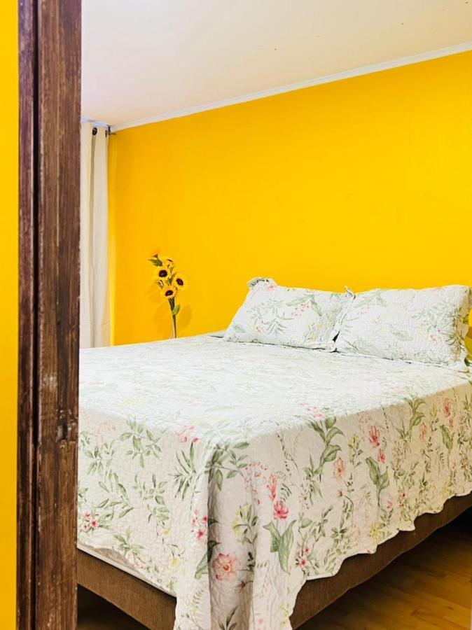 Apartamento Departamentos Diarios En Chile