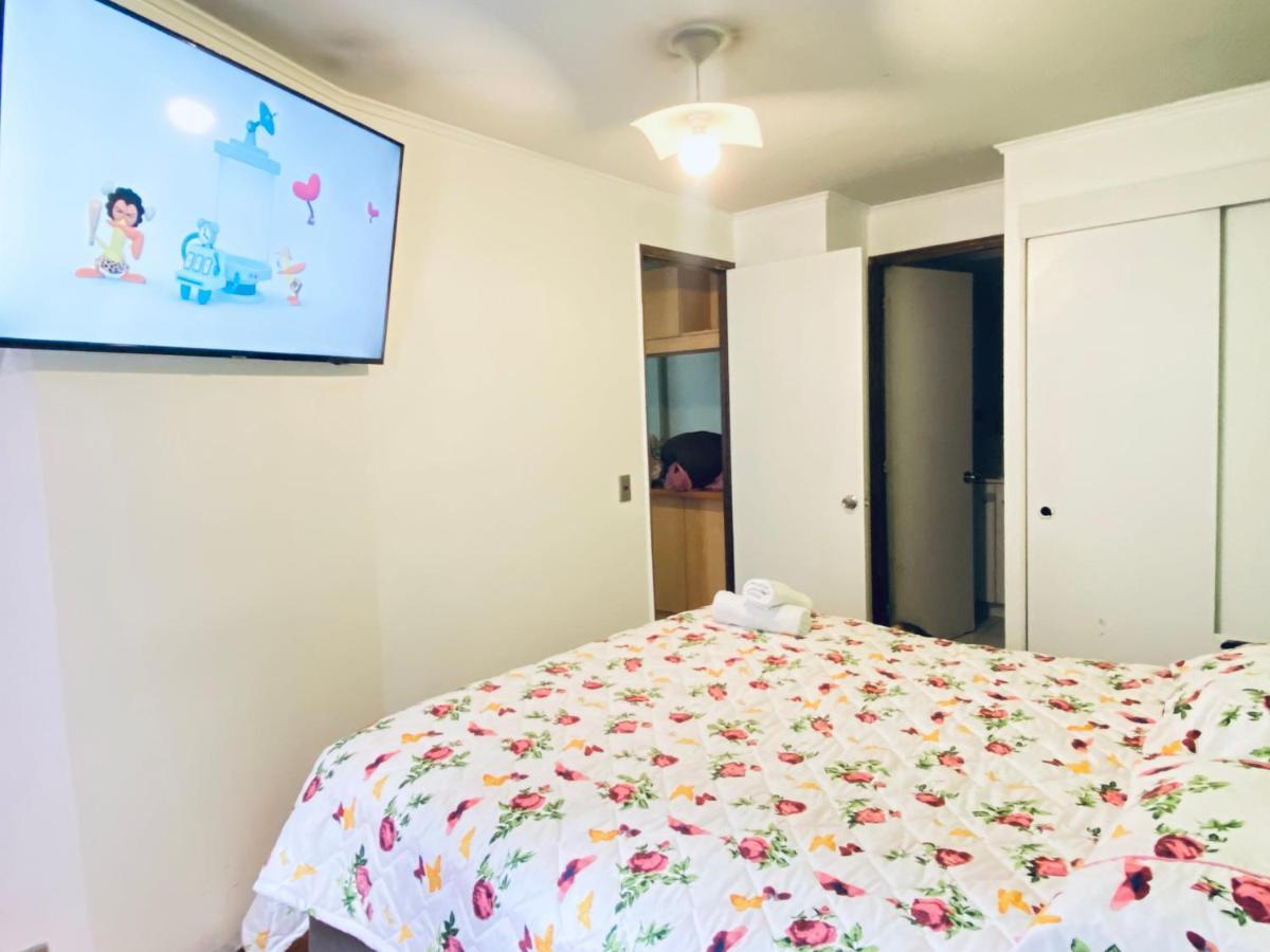 Apartamento Departamentos Diarios En Chile *