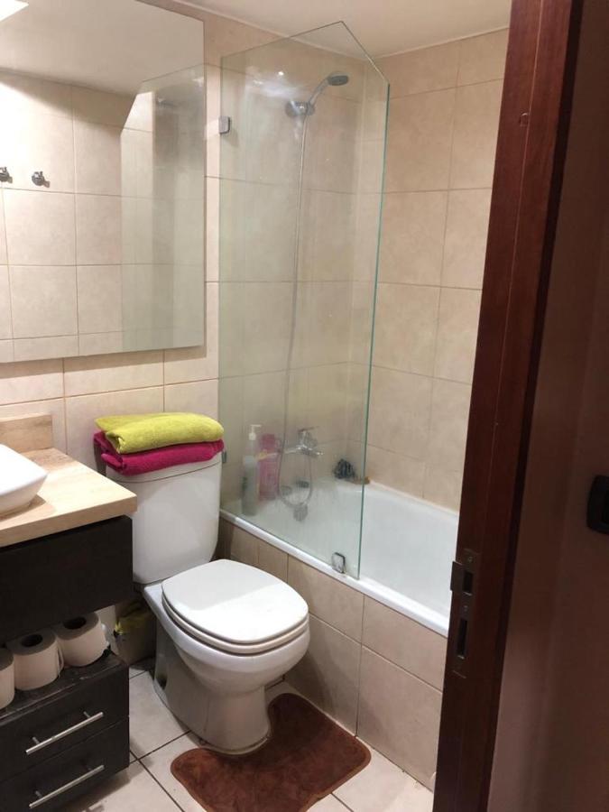 Acogedor Departamento Santa Beatriz 81 Providencia *