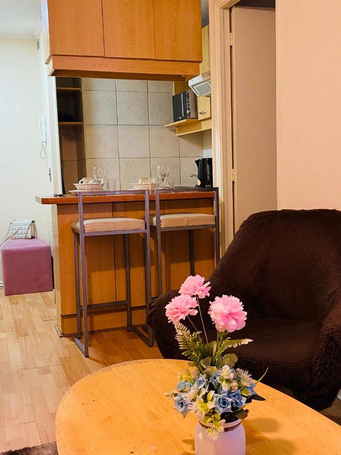 Departamentos Diarios En Chile Apartamento *