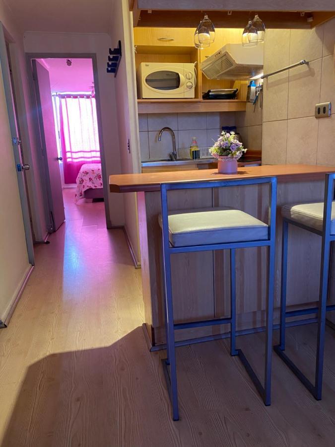 Apartamento Departamentos Diarios En Chile *