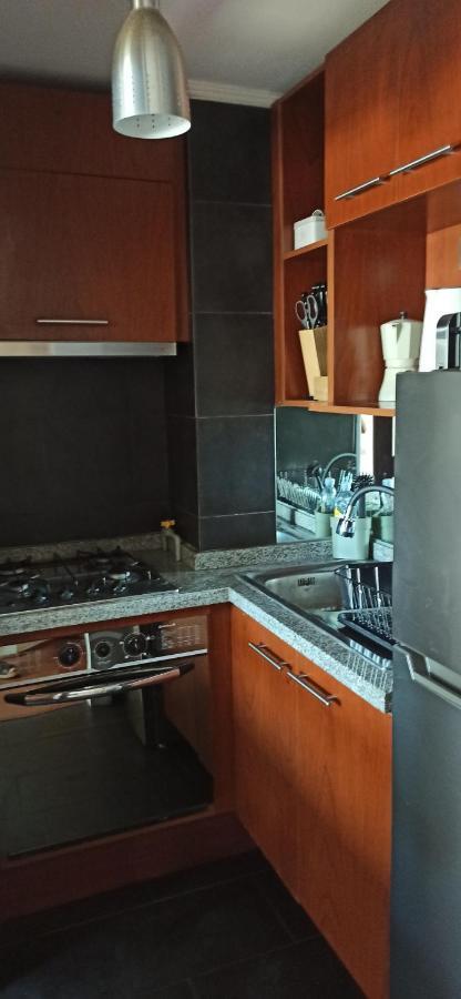 Apartamento En El Corazon Del Barrio Providencia, Tranquilo Y Confortable Departamento *