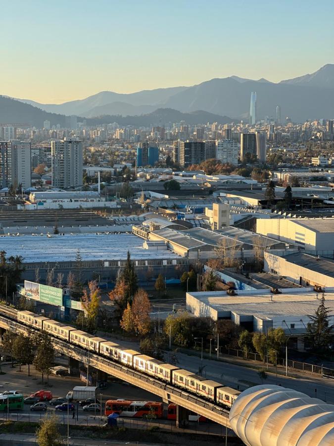 Loica Chile
