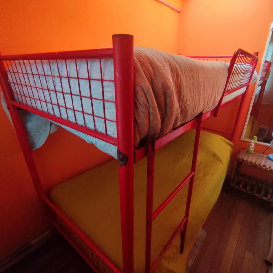 Hostel Gatos De Campo, Tiernos Y Traviesos Santiago