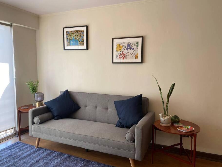 Comodo Departamento Providencia. *