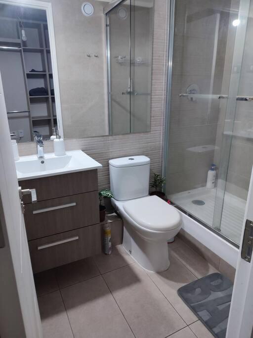 Apartamento Comodo Departamento 1d1b Para Dos Personas Santiago de Chile