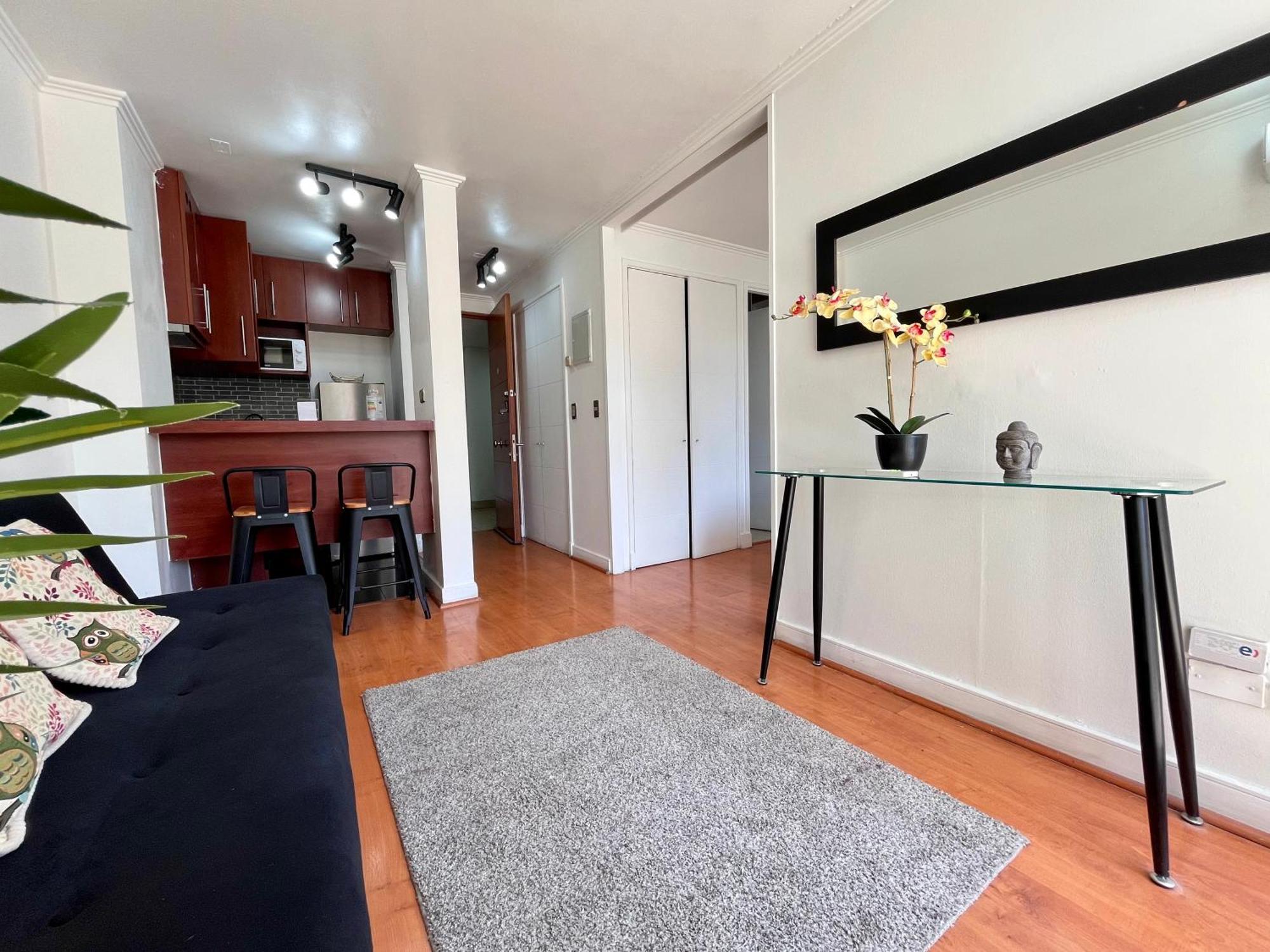 Apartamento Centro Manuel Montt *