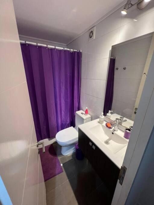 Tu Mejor Opcion. Apartamento Santiago