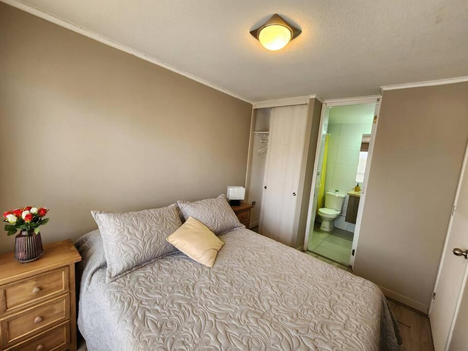 Apartamento Acogedor En Centro De Santiago.