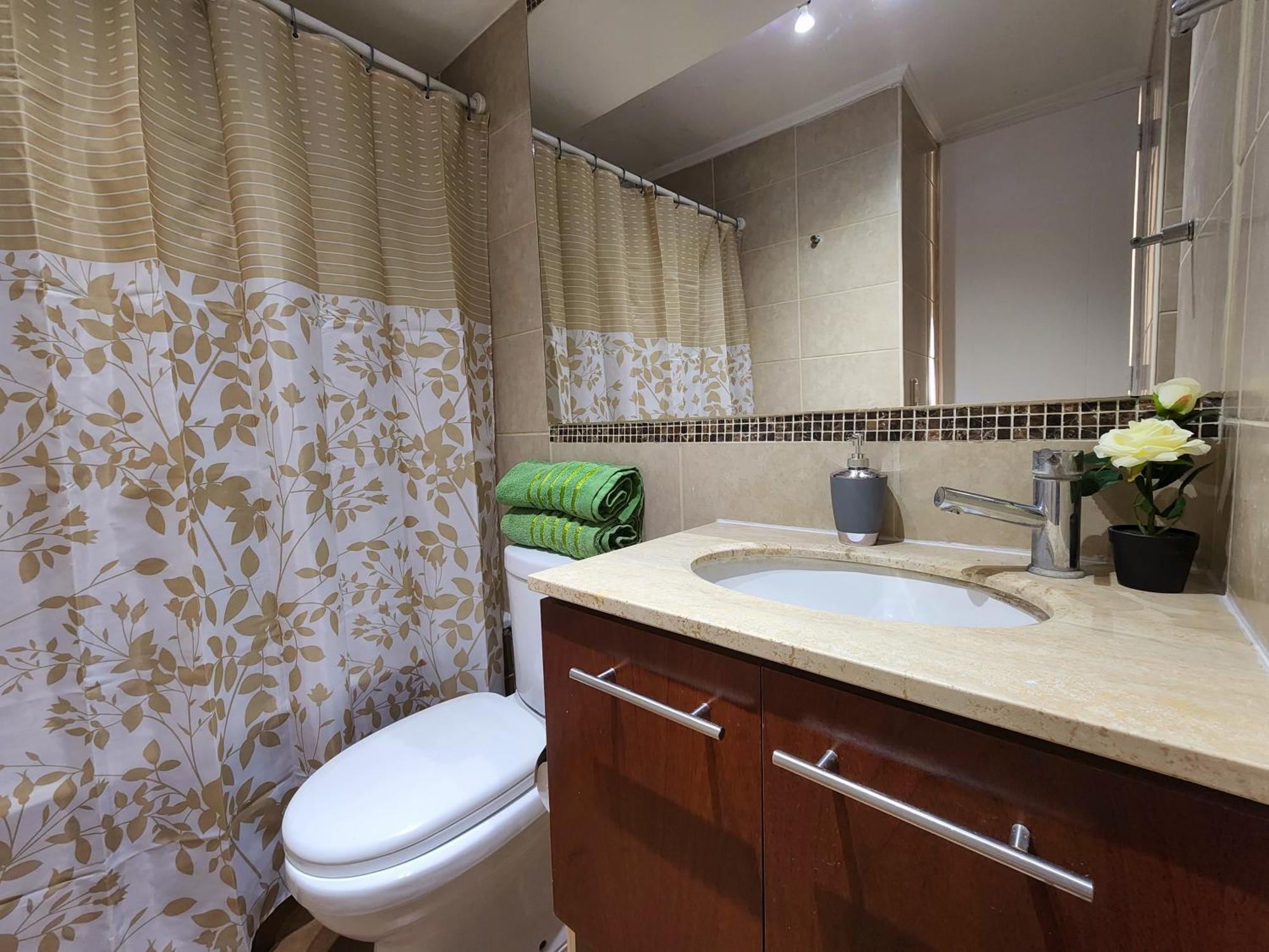 Apartamento Departamentos Suagon Centro Moneda *