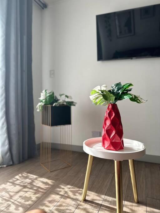 Depto Full Moderno Movistar Arena, De Chile Apartment Santiago