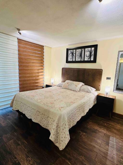 Lindo Y Comodo Dpto Providencia 6 Apartment Santiago