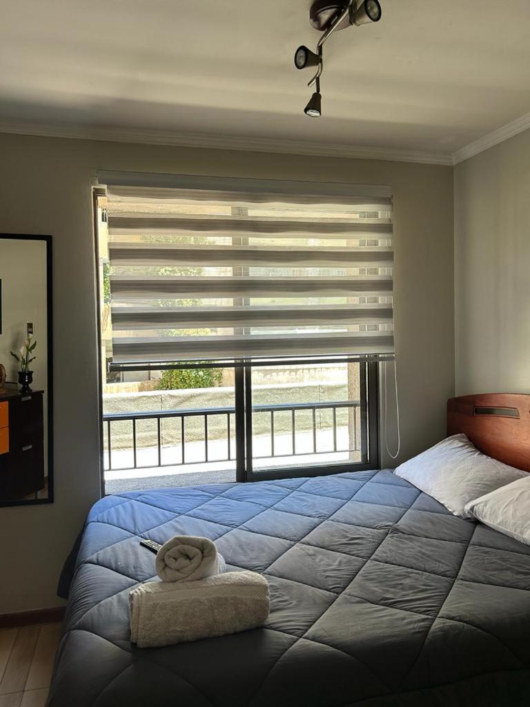 Dpto Acogedor En Lastarria Apartamento