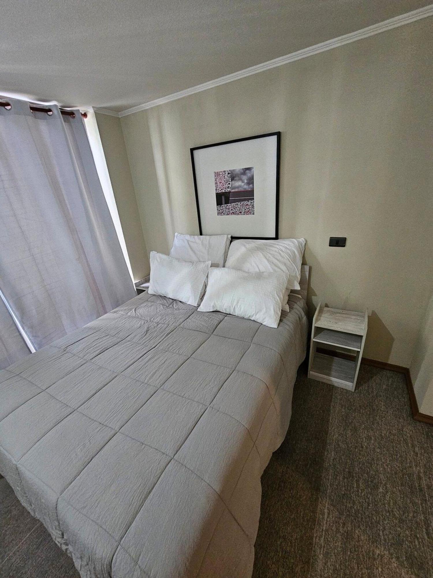 Apartment Bellavista Apartrent Santiago