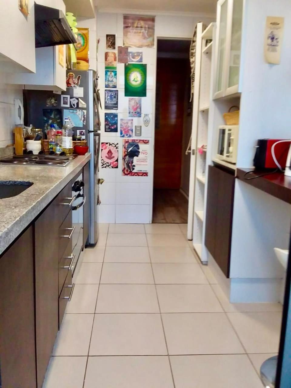 Departamento Luminoso A Pasos Del Barrio Italia Con Vista A La Cordillera Apartamento *