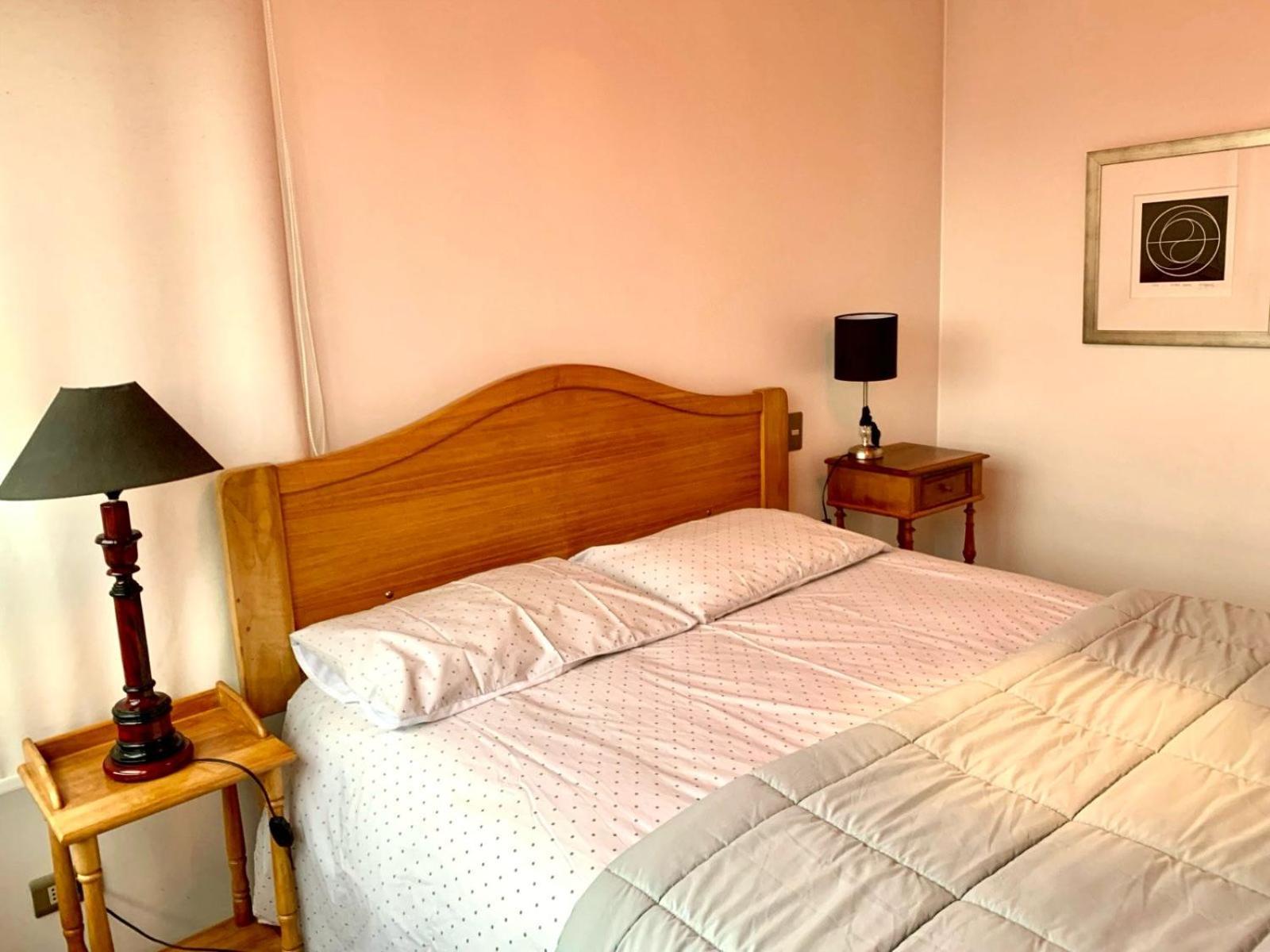 Apartamento Departamento Luminoso A Pasos Del Barrio Italia Con Vista A La Cordillera