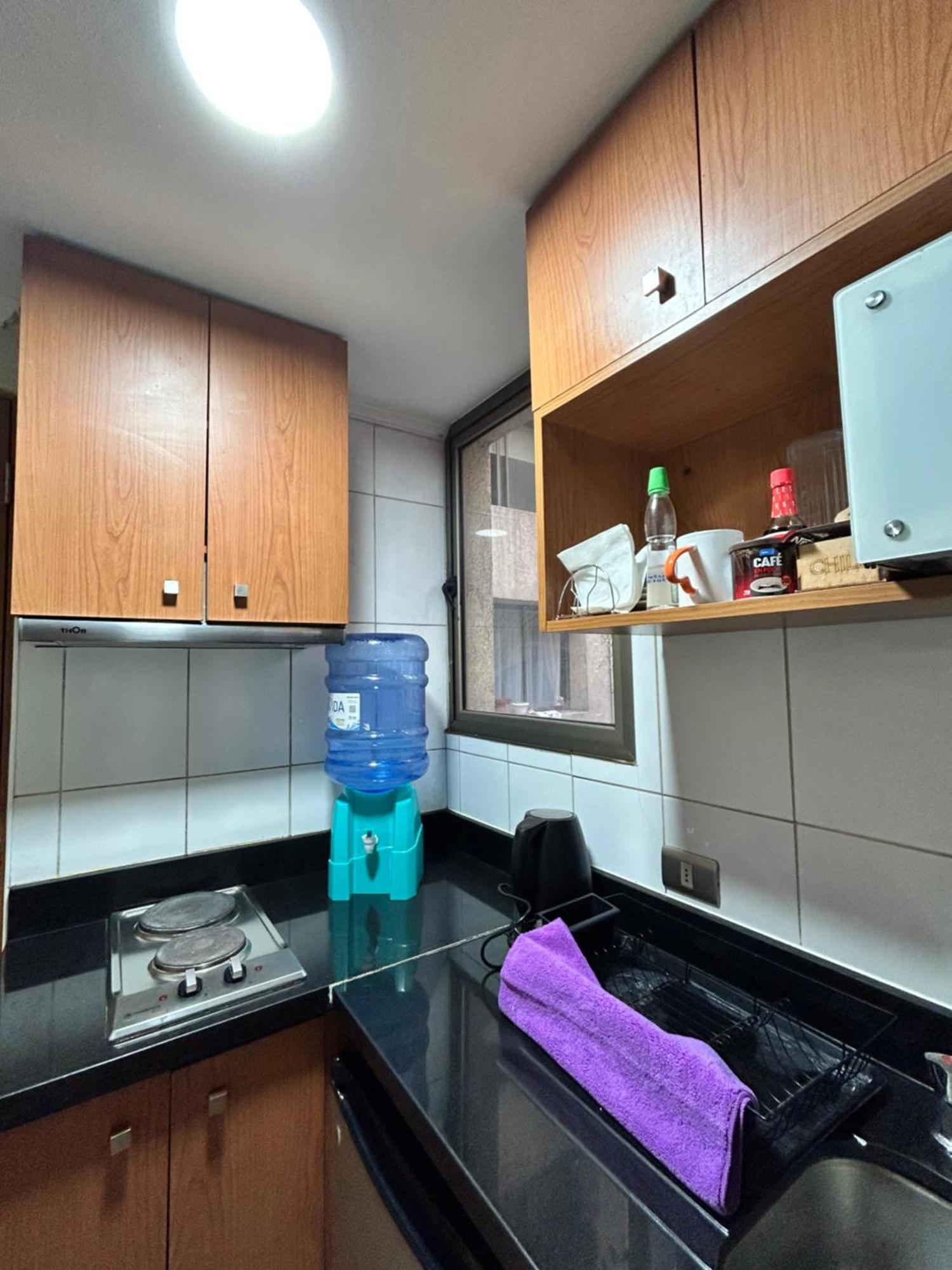 Apartamento Dpto Acogedor En Lastarria