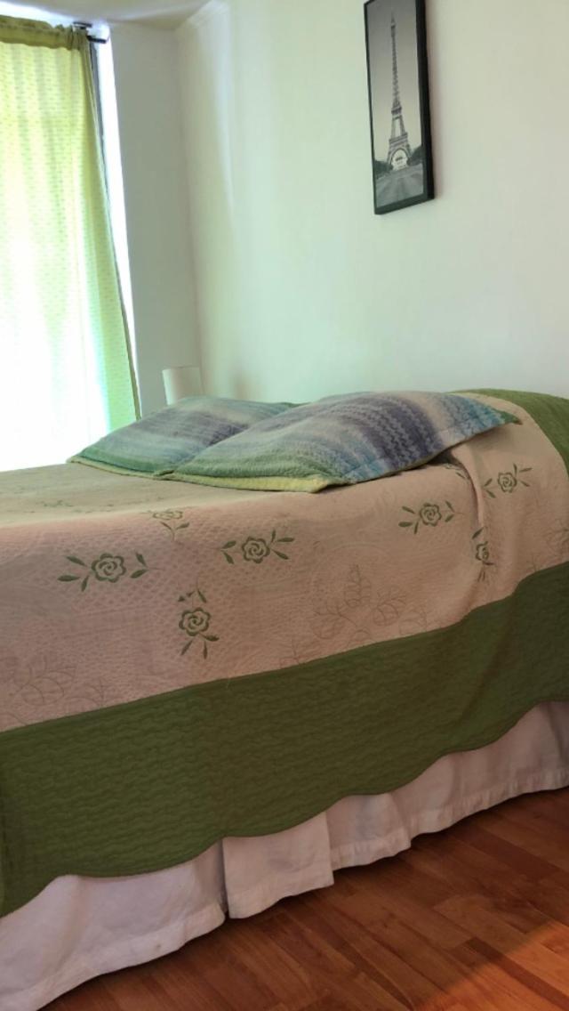 Apartamento Apart Bellavista 2 Santiago