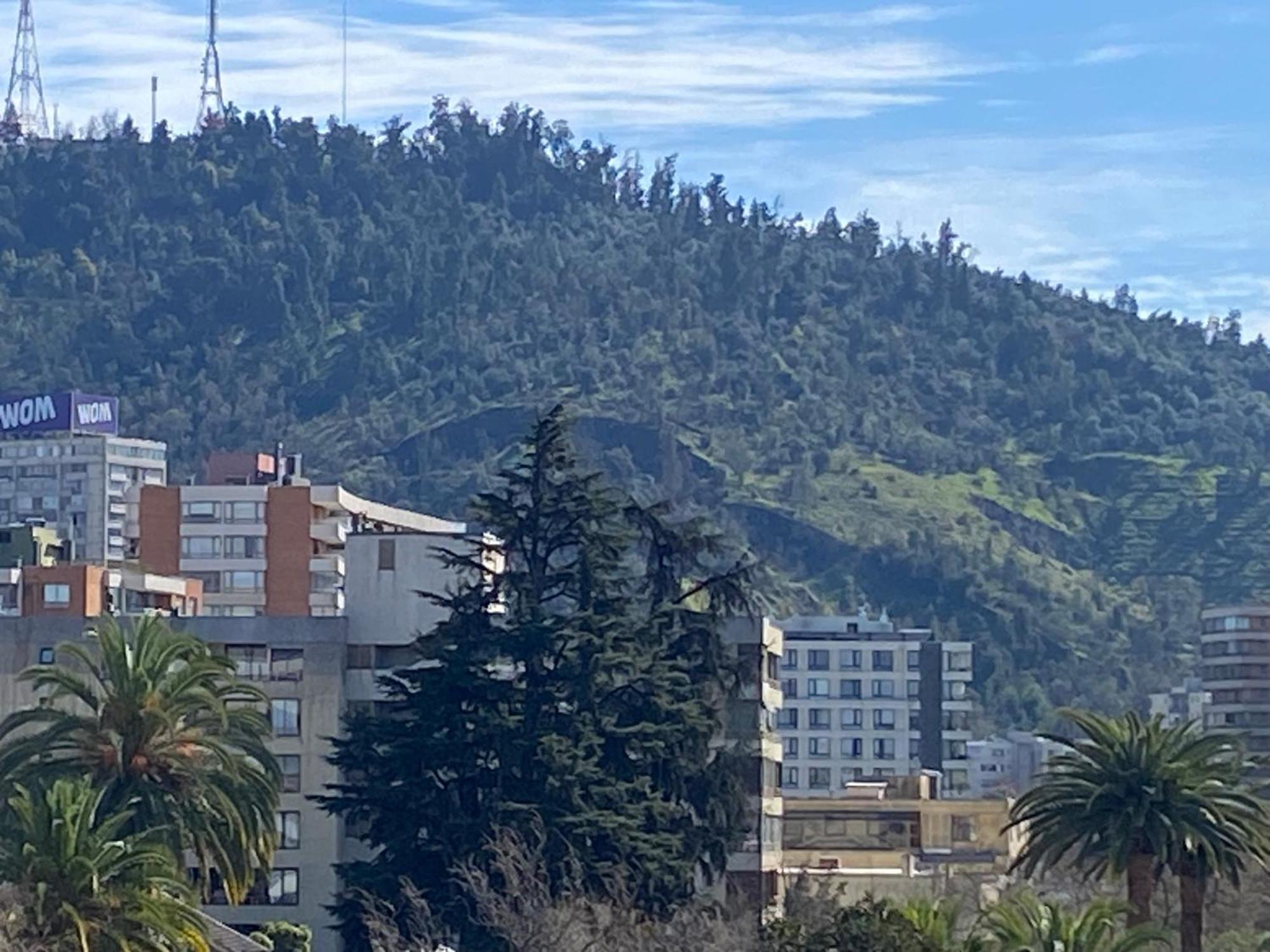 Apartamento Departamento Don Miguel Claro *