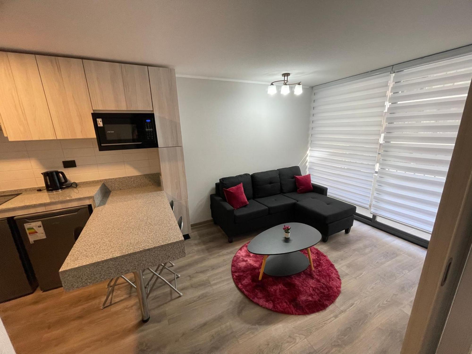 Comfort Space Apartment Santiago