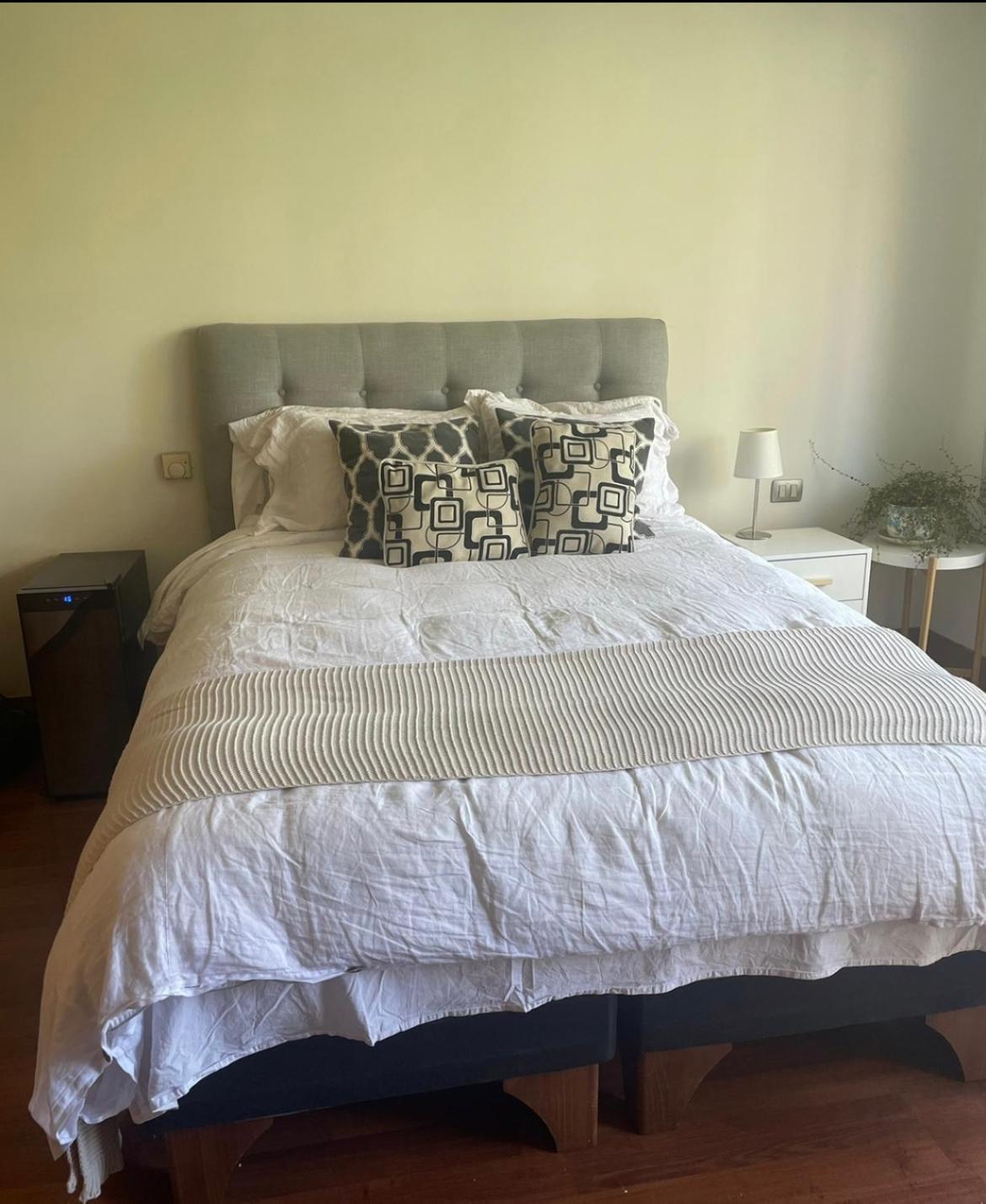 Apartamento Francisco Antonio Encina 1781