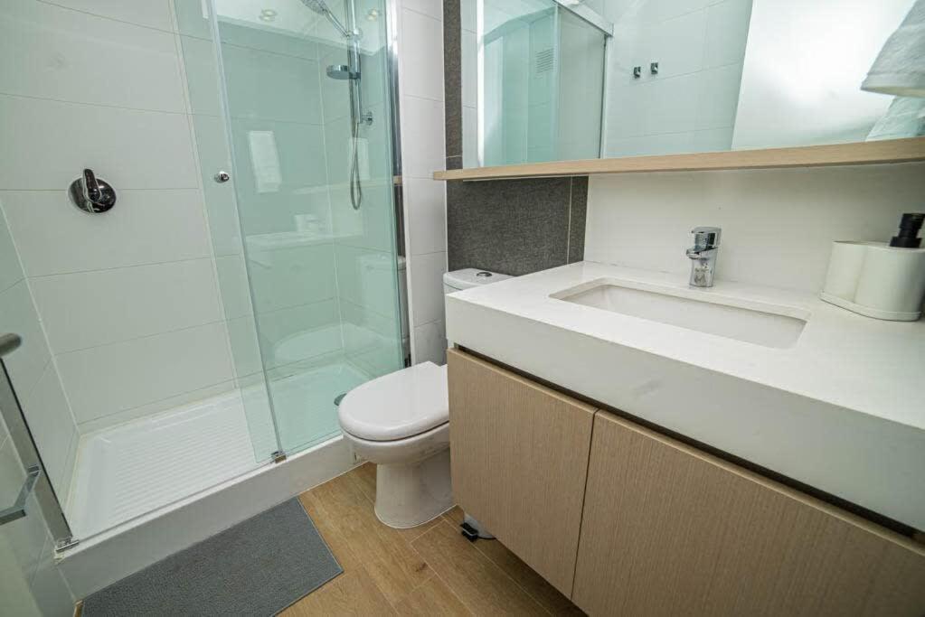 Con Terraza Privada En Providencia *