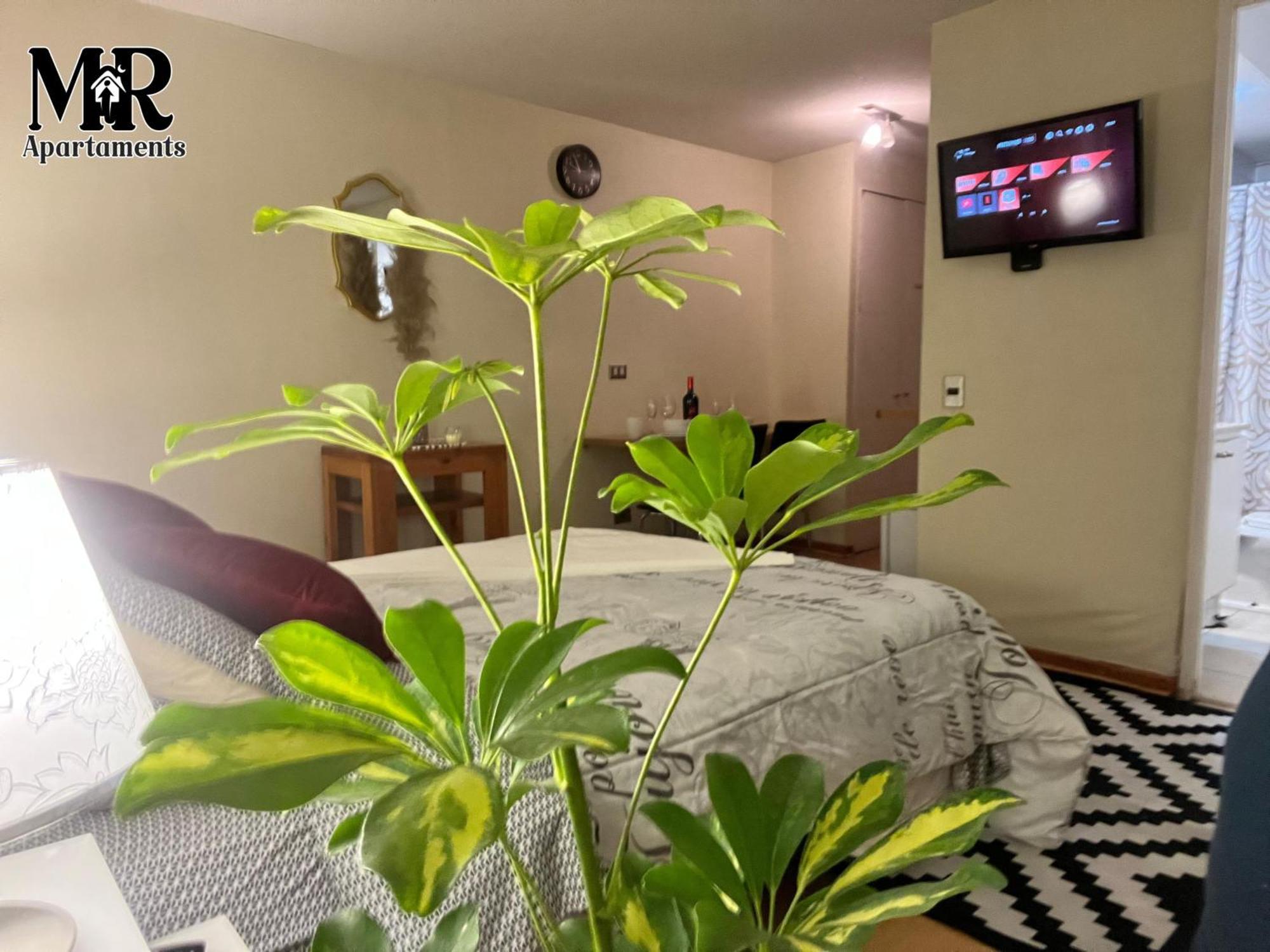 Apartamento Hermoso Studio En El Centro De *