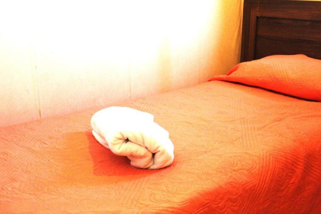 Maravilloso Departamento En Nataniel Cox Apartamento *