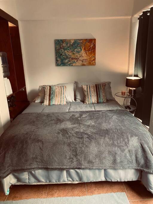 Apartamento D&d Providencia 2 Santiago