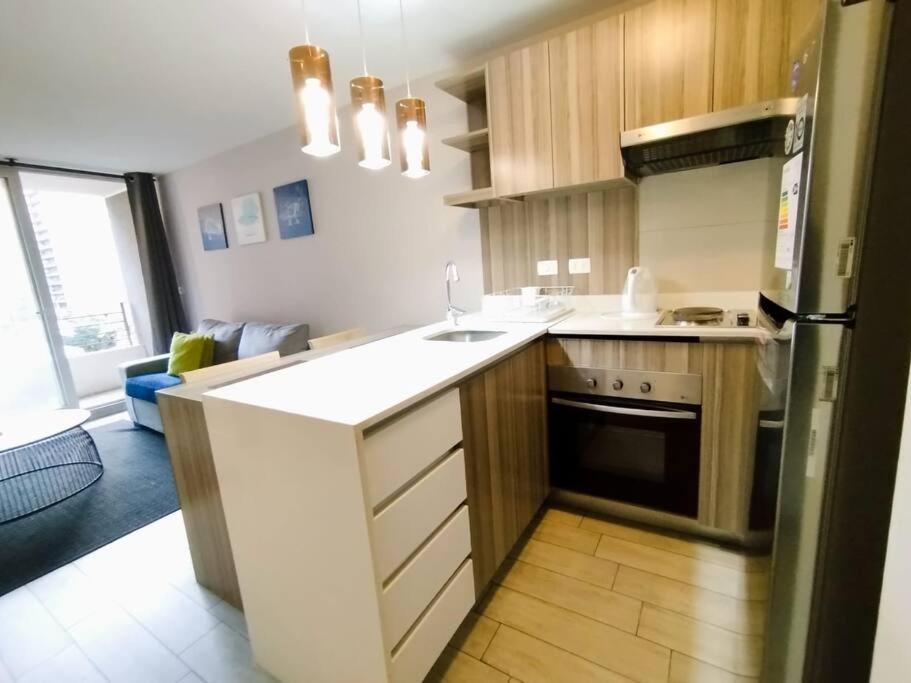 Apartamento Fabuloso Departamento Cercano A Metro Santa Lucia