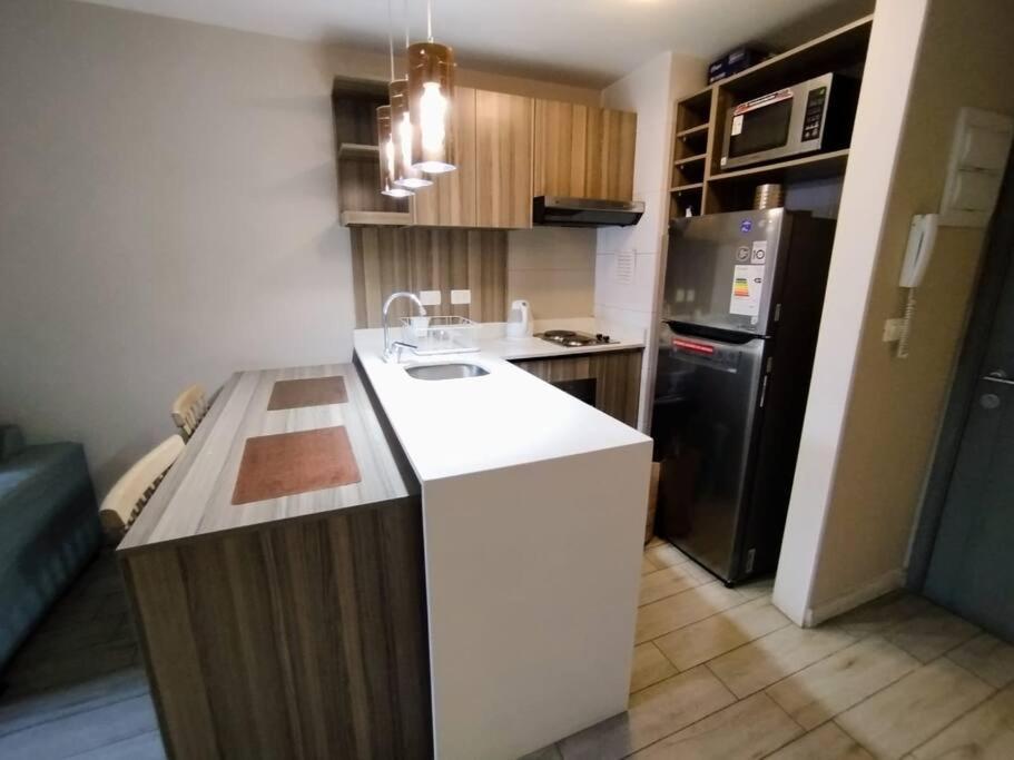 Apartamento Fabuloso Departamento Cercano A Metro Santa Lucia