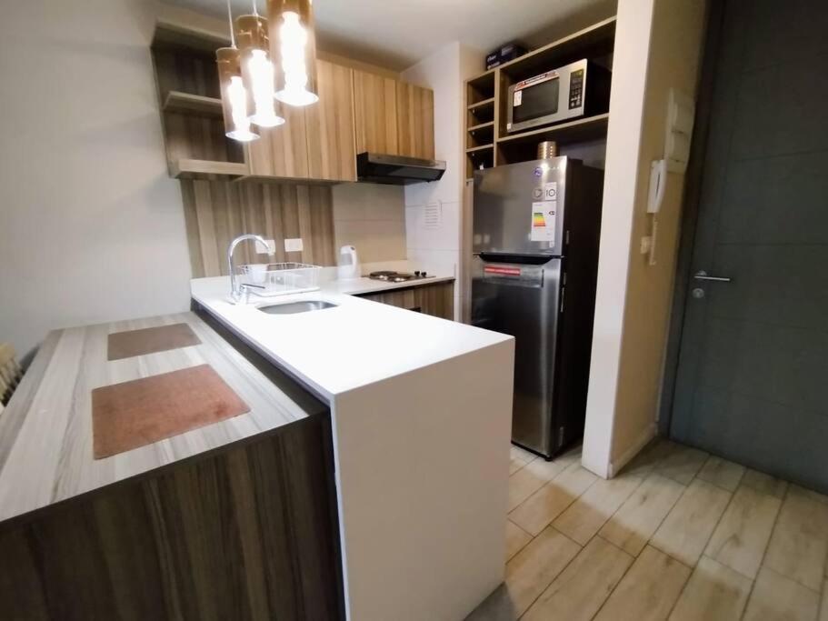 Apartamento Fabuloso Departamento Cercano A Metro Santa Lucia