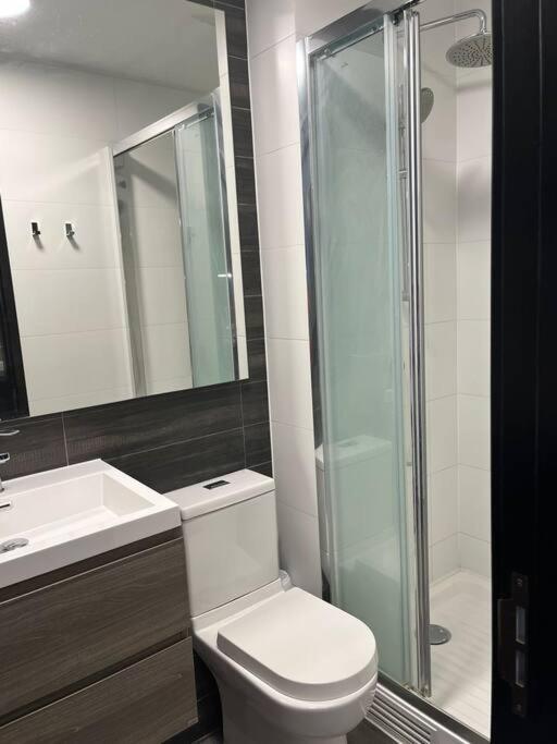 Apartamento Arriendo Departamento En Centro Por Dia