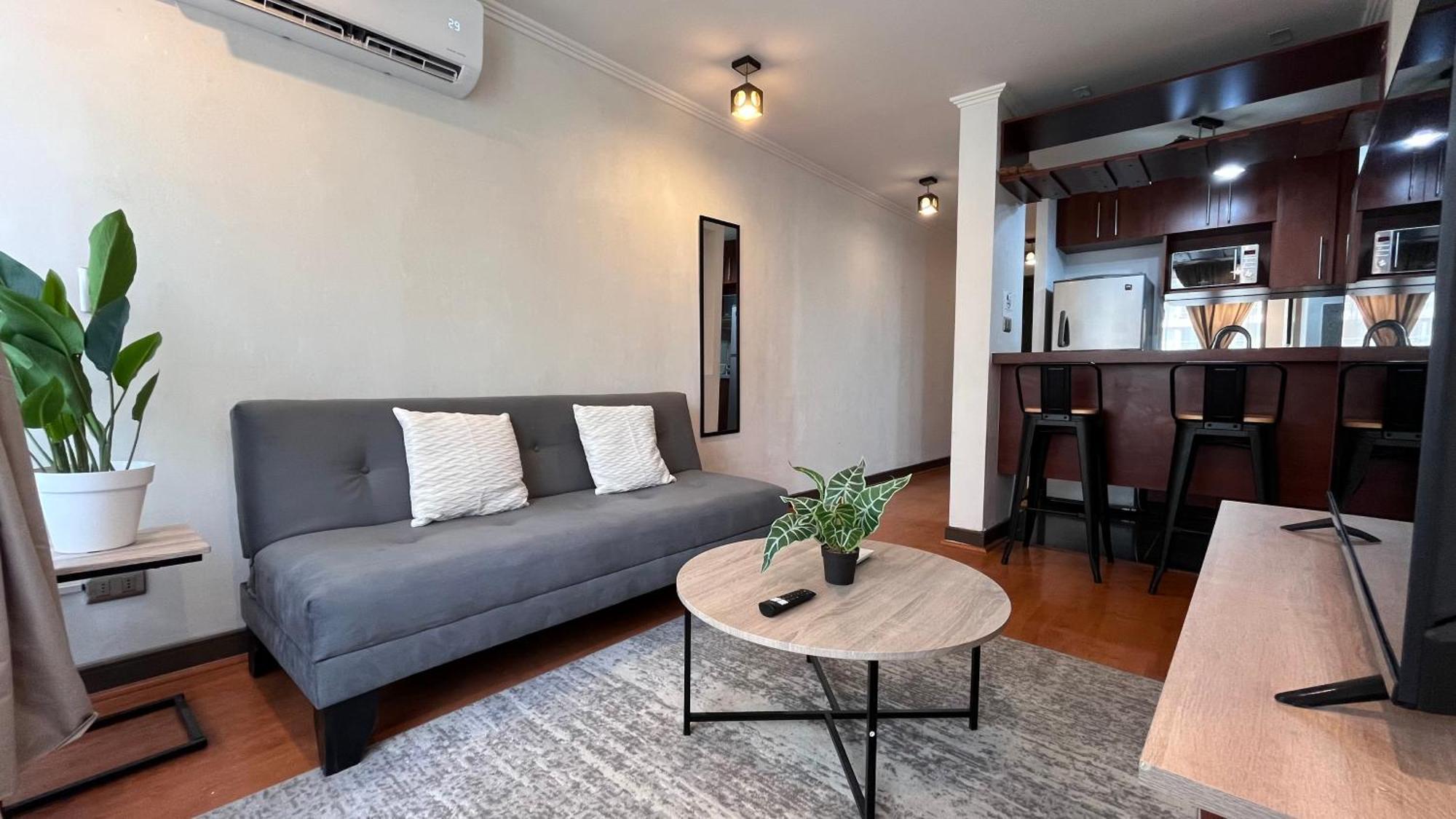 Apartamento Centro Manuel Montt *