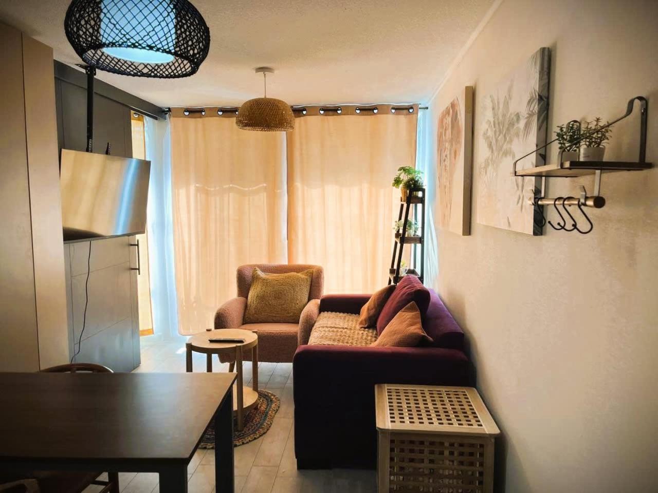 Hom I Amplio Y Comodo Depto 1d1b Apartment *
